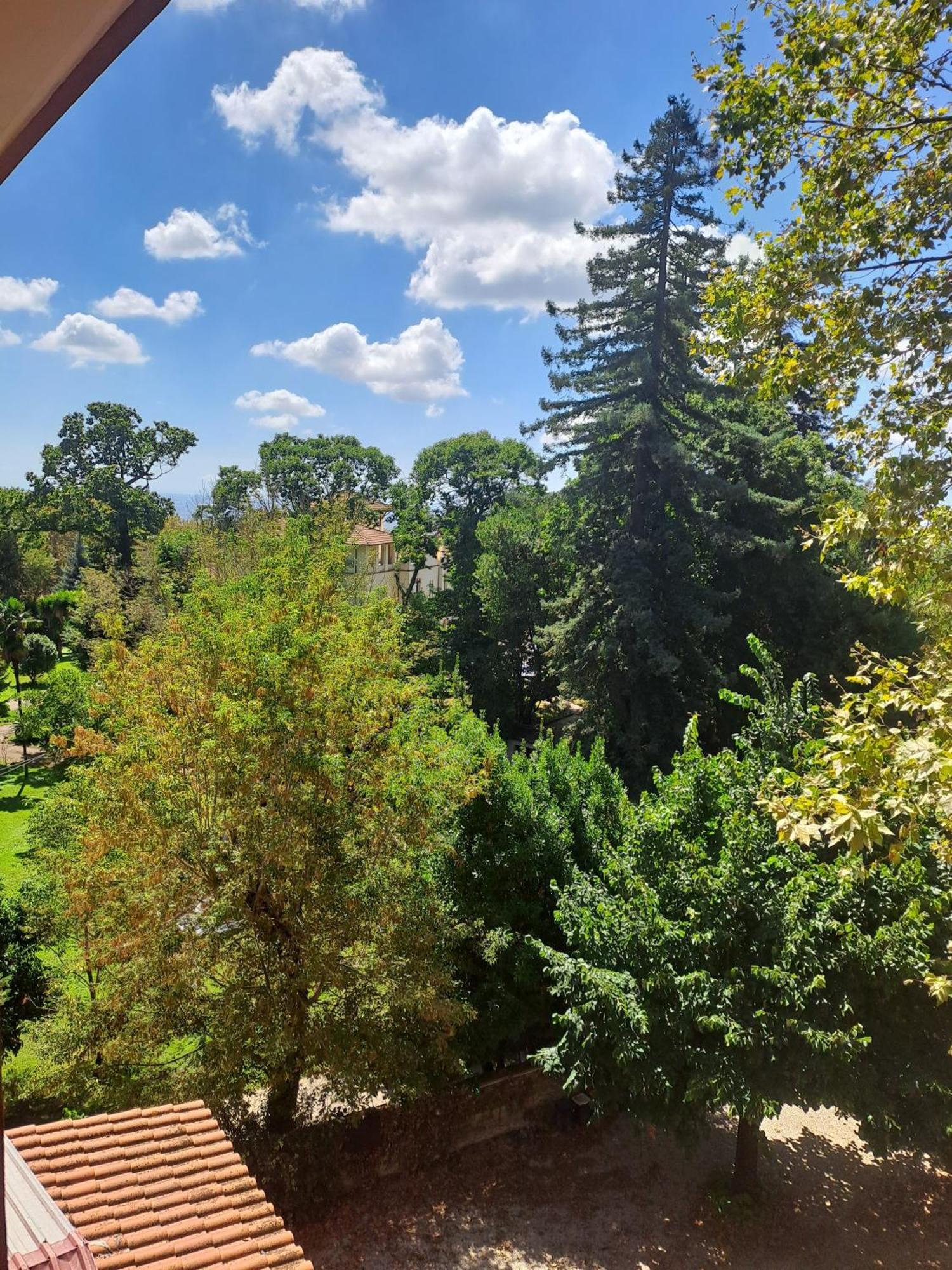 Hotel Villa Robinia Genzano di Roma Luaran gambar